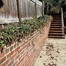 Revitalizing-this-landscape-with-detailed-shrub-pruning-in-Winston-Salem-NC 3